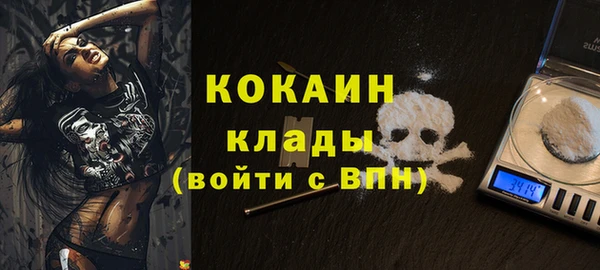 МДПВ Козельск